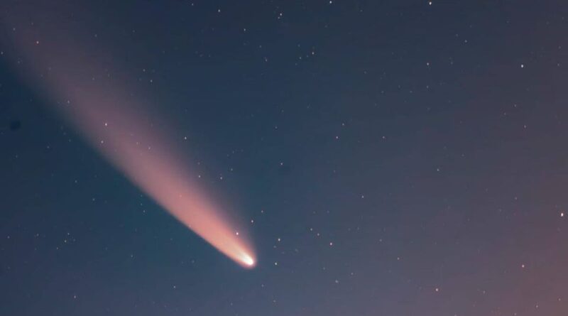 cometa neowise