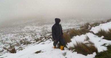 Nevada sorprende a zona andina de Píllaro, en Ecuador