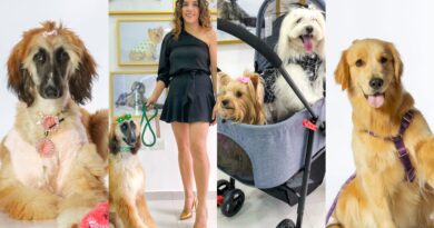 LE PET GLAM buscando lo mejor para la PET FAMILY LE PET GLAM buscando lo mejor para la PET FAMILY